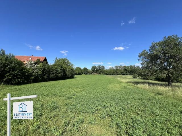 Grundstück kaufen in Lanzenkirchen, Niederösterreich