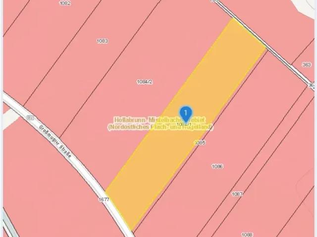 Grundstück kaufen in Katastralgemeinde Leitzersdorf, Leitzersdorf