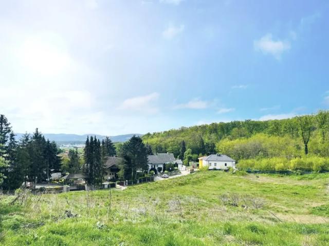Grundstück kaufen in Leobendorf, Niederösterreich