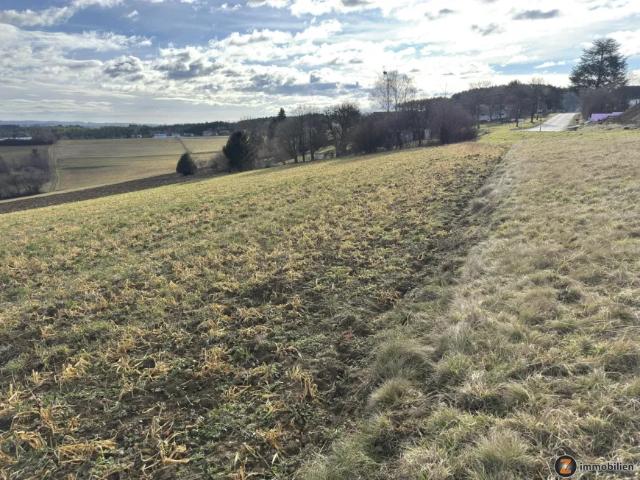Grundstück kaufen in Litzelsdorf, Burgenland