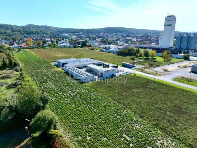 Grundstück kaufen in Mannersdorf am Leithagebirge, Niederösterreich