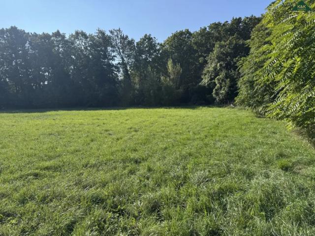 Grundstück kaufen in Maria Enzersdorf, Niederösterreich