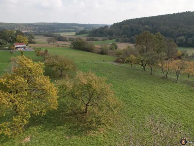 Grundstück kaufen in Mischendorf, Burgenland