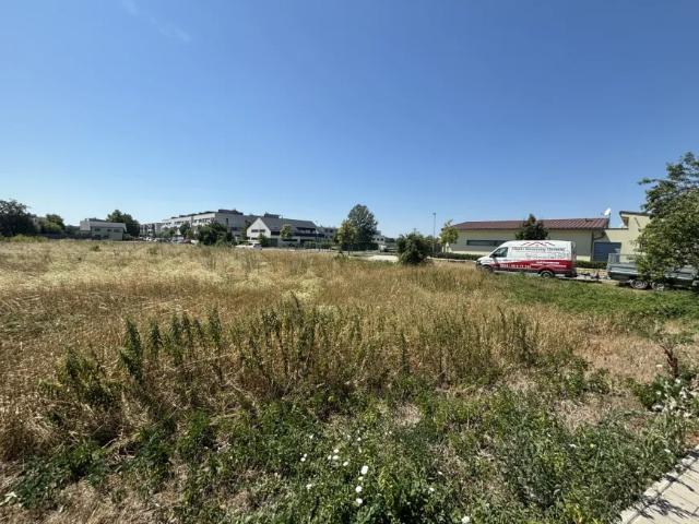 Grundstück kaufen in Neusiedl am See, Burgenland