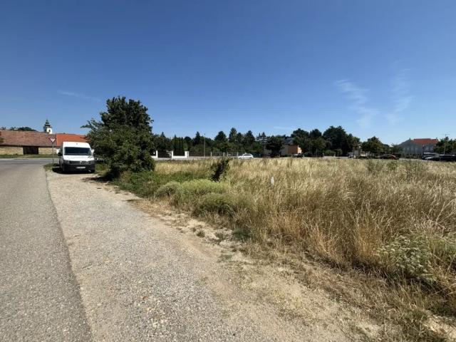 Grundstück kaufen in Neusiedl am See, Burgenland