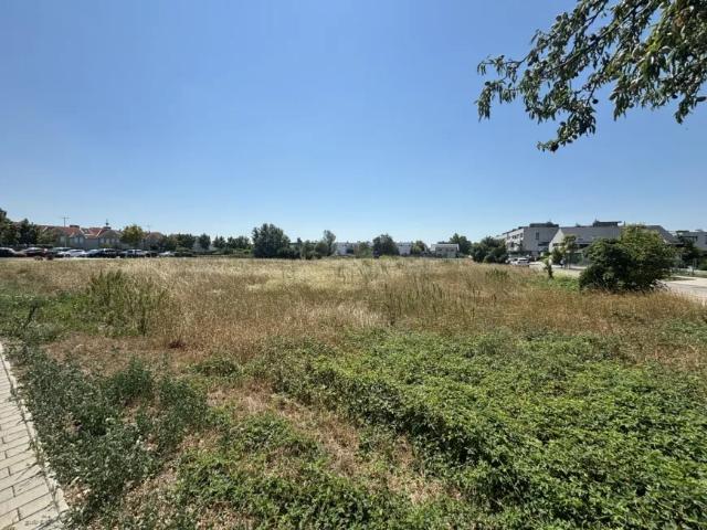 Grundstück kaufen in Neusiedl am See, Burgenland