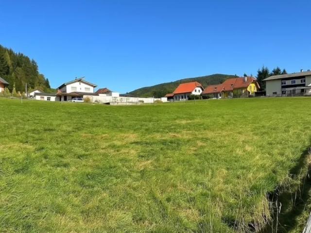 Grundstück kaufen in Niederwölz, Steiermark