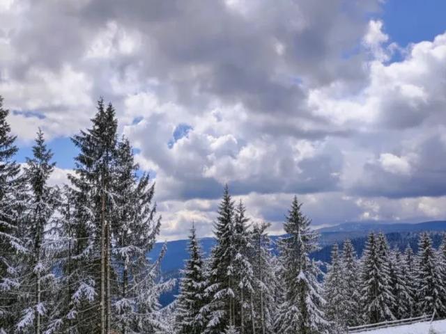 Grundstück kaufen in Obdach, Steiermark