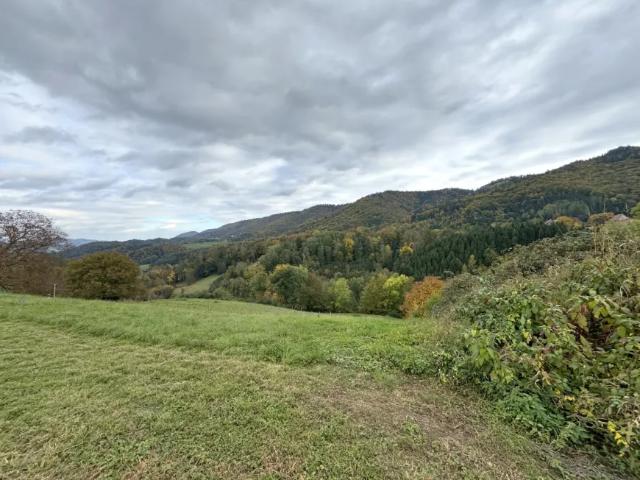 Grundstück kaufen in Oberhaag, Steiermark