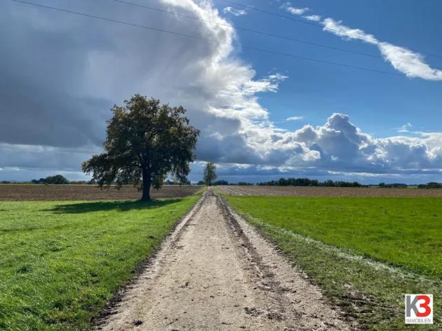 Grundstück kaufen in Obernberg am Inn, Oberösterreich
