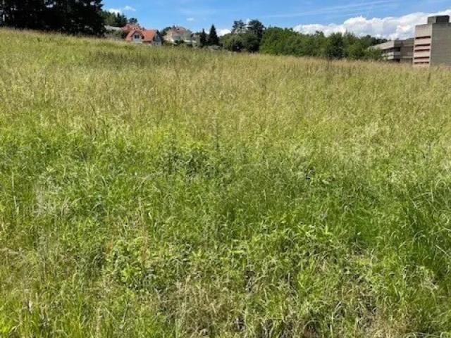 Grundstück kaufen in Oberwart, Burgenland
