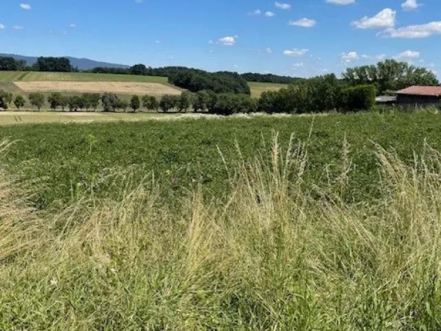 Grundstück kaufen in Oberwart, Burgenland