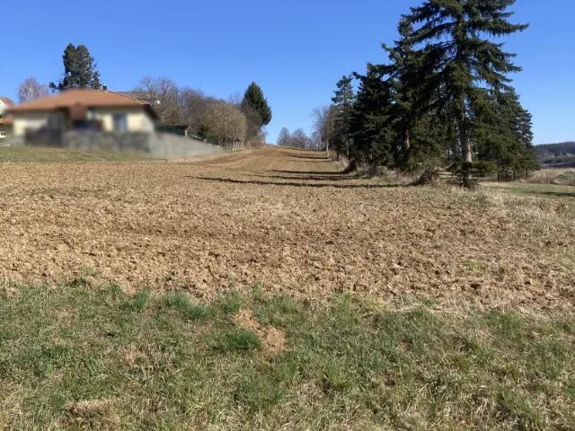 Grundstück kaufen in Olbendorf, Burgenland