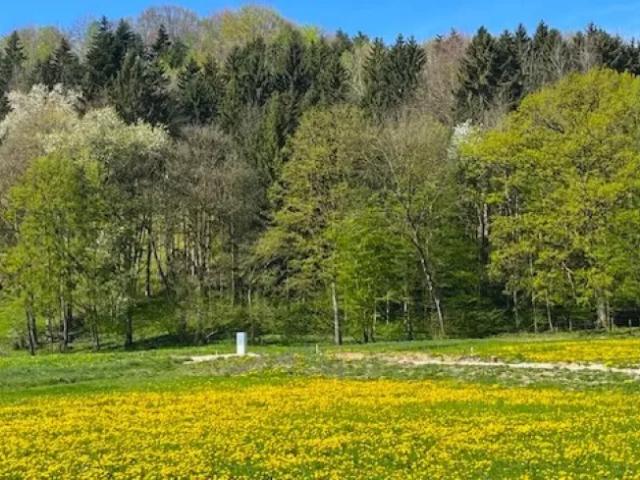 Grundstück kaufen in Oberndorf an der Melk, Niederösterreich