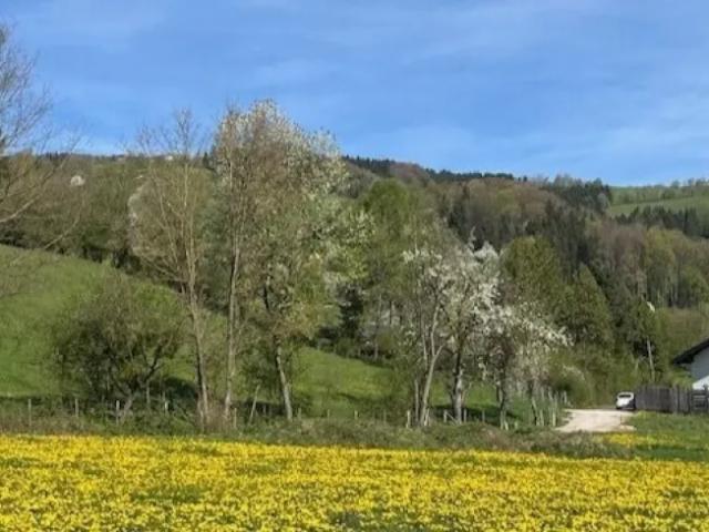 Grundstück kaufen in Oberndorf an der Melk, Niederösterreich