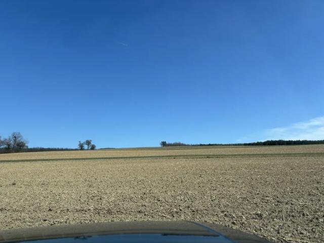 Grundstück kaufen in Pilgersdorf, Burgenland
