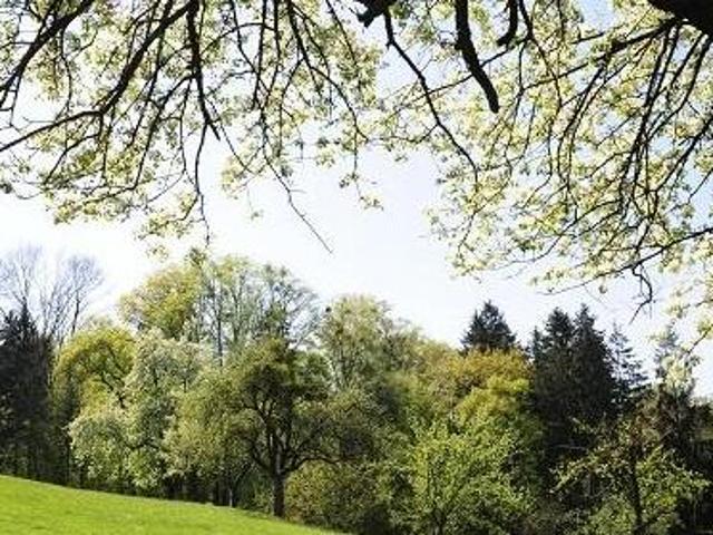 Grundstück kaufen in Pinkafeld, Burgenland