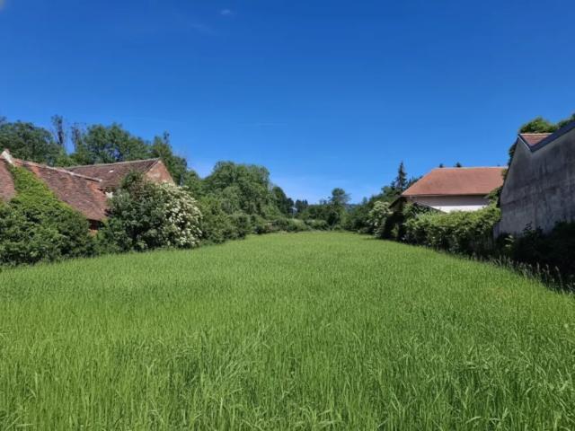 Grundstück kaufen in Pinkafeld, Burgenland