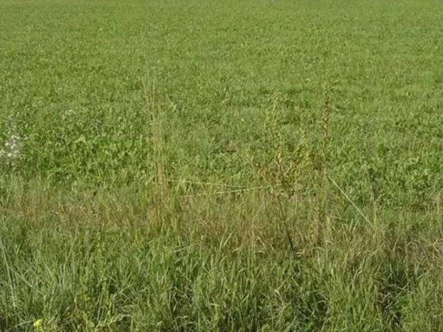 Grundstück kaufen in Seiersberg, Steiermark