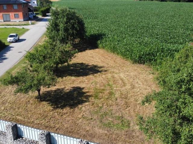 Grundstück kaufen in Pischeldorf, Kärnten