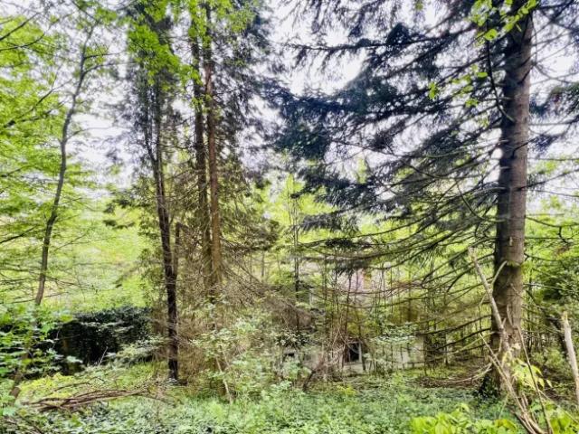 Grundstück kaufen in Pressbaum, Niederösterreich