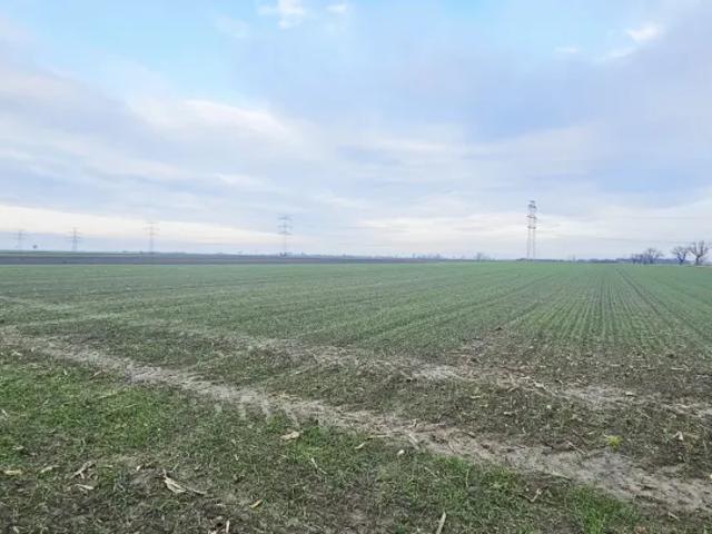 Grundstück kaufen in Groß-Enzersdorf, Niederösterreich