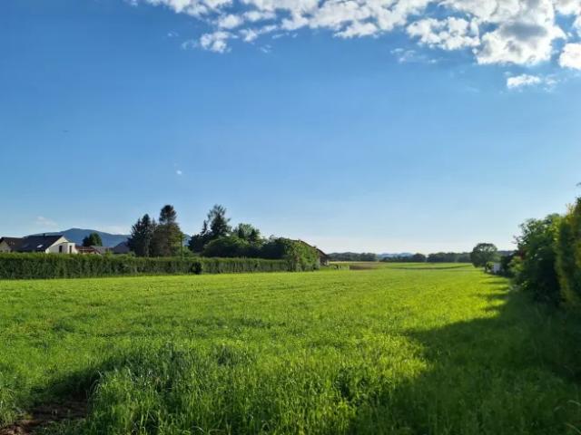 Grundstück kaufen in Purgstall an der Erlauf, Niederösterreich