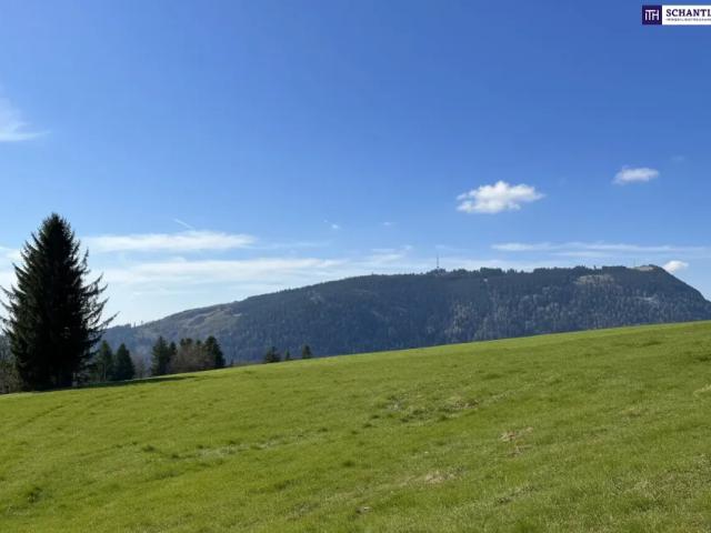 Grundstück kaufen in Kumberg, Steiermark