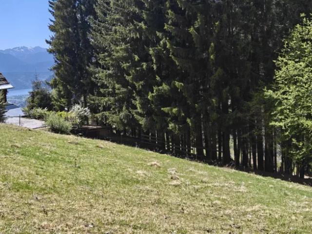 Grundstück kaufen in St. Peter ob Radenthein, Radenthein