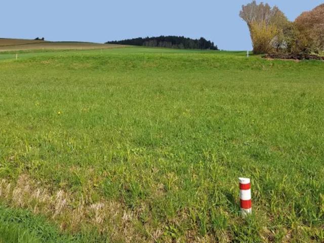Grundstück kaufen in Rastenfeld, Niederösterreich