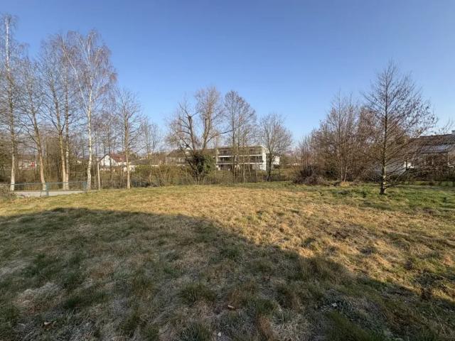 Grundstück kaufen in Ried im Innkreis, Oberösterreich