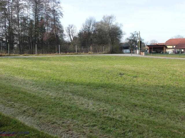 Grundstück kaufen in Ried im Innkreis, Oberösterreich