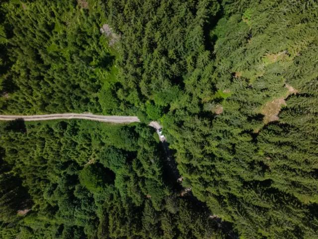 Grundstück kaufen in St. Lorenzen im Mürztal, Steiermark