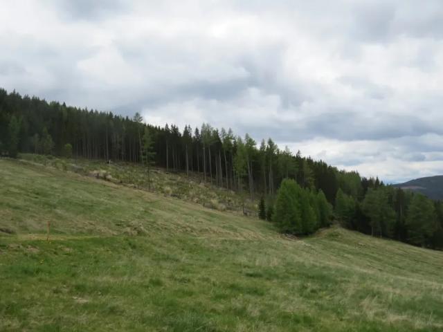 Grundstück kaufen in St. Marein bei Knittelfeld, Steiermark