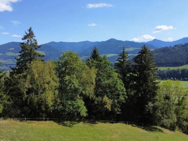 Grundstück kaufen in St. Martin am Grimming, Steiermark