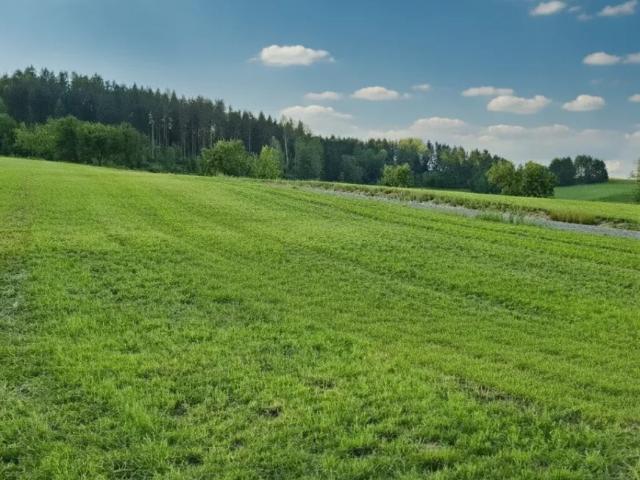 Grundstück kaufen in Sankt Peter-Freienstein, St. Peter-Freienstein