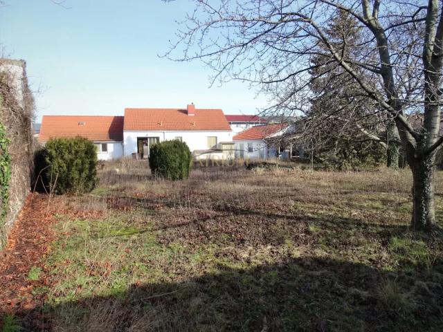 Grundstück kaufen in Schwechat, Niederösterreich