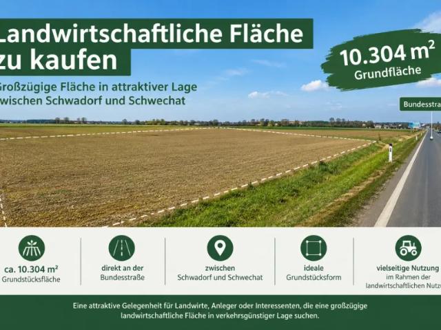 Grundstück kaufen in Katastralgemeinde Schwechat, Schwechat