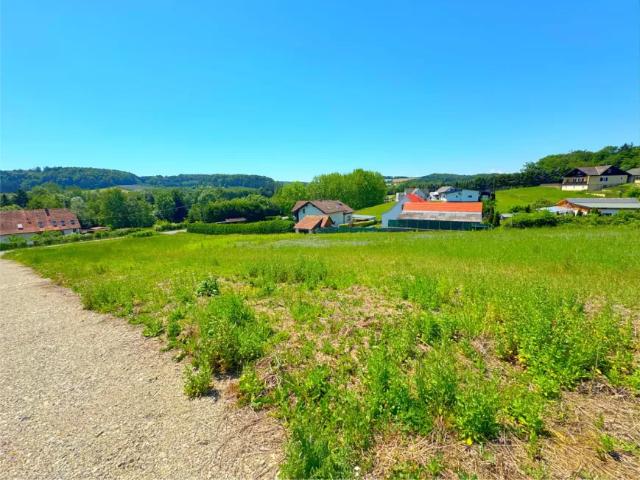 Grundstück kaufen in Sinabelkirchen, Steiermark