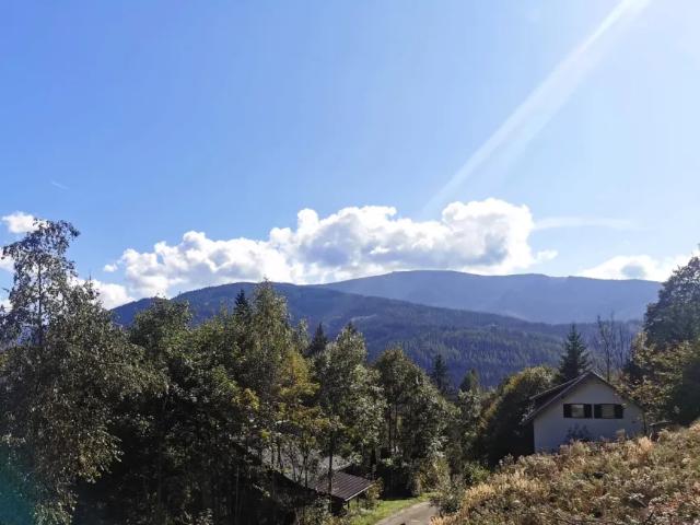 Grundstück kaufen in Spital am Semmering, Steiermark