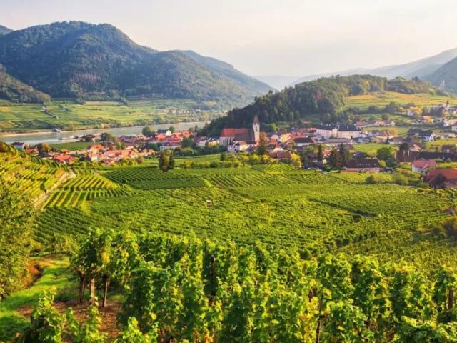 Grundstück kaufen in Spitz, Niederösterreich