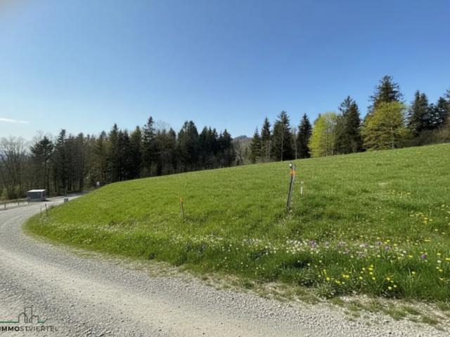 Grundstück kaufen in St. Georgen an der Leys, Niederösterreich