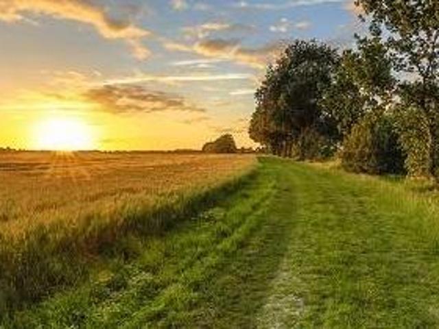 Grundstück kaufen in St. Lorenzen am Wechsel, Steiermark