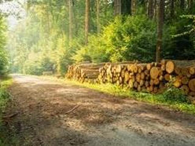 Grundstück kaufen in St. Lorenzen am Wechsel, Steiermark