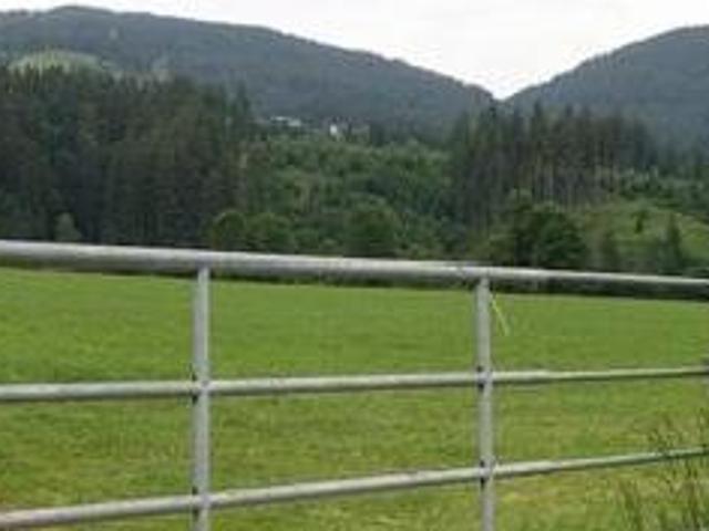 Grundstück kaufen in Markt St. Martin, Niederösterreich