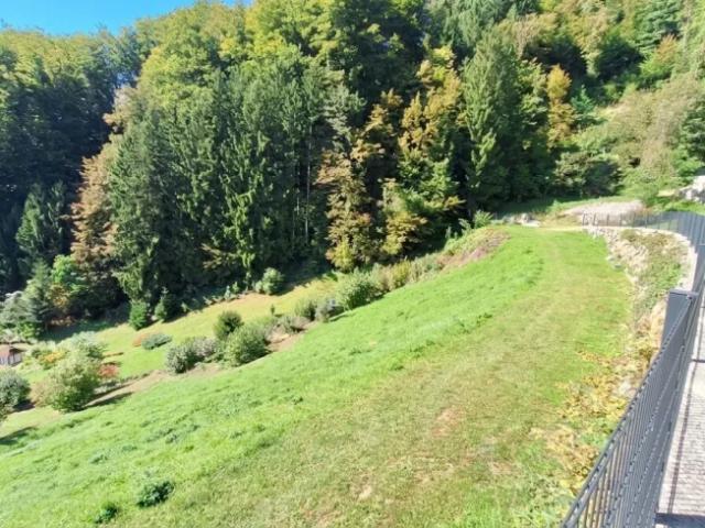 Grundstück kaufen in St. Nikola an der Donau, Oberösterreich