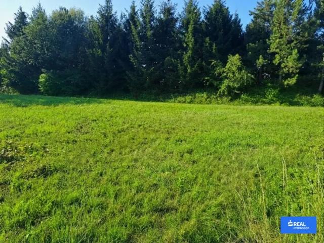 Grundstück kaufen in St. Stefan ob Stainz, Steiermark