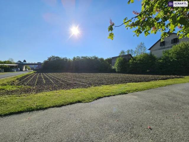 Grundstück kaufen in Stainz, Steiermark