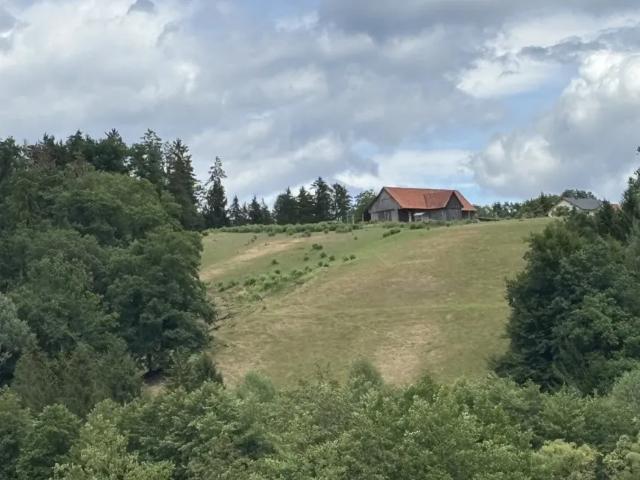 Grundstück kaufen in Stallhofen, Steiermark