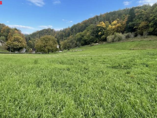 Grundstück kaufen in Stattegg, Steiermark